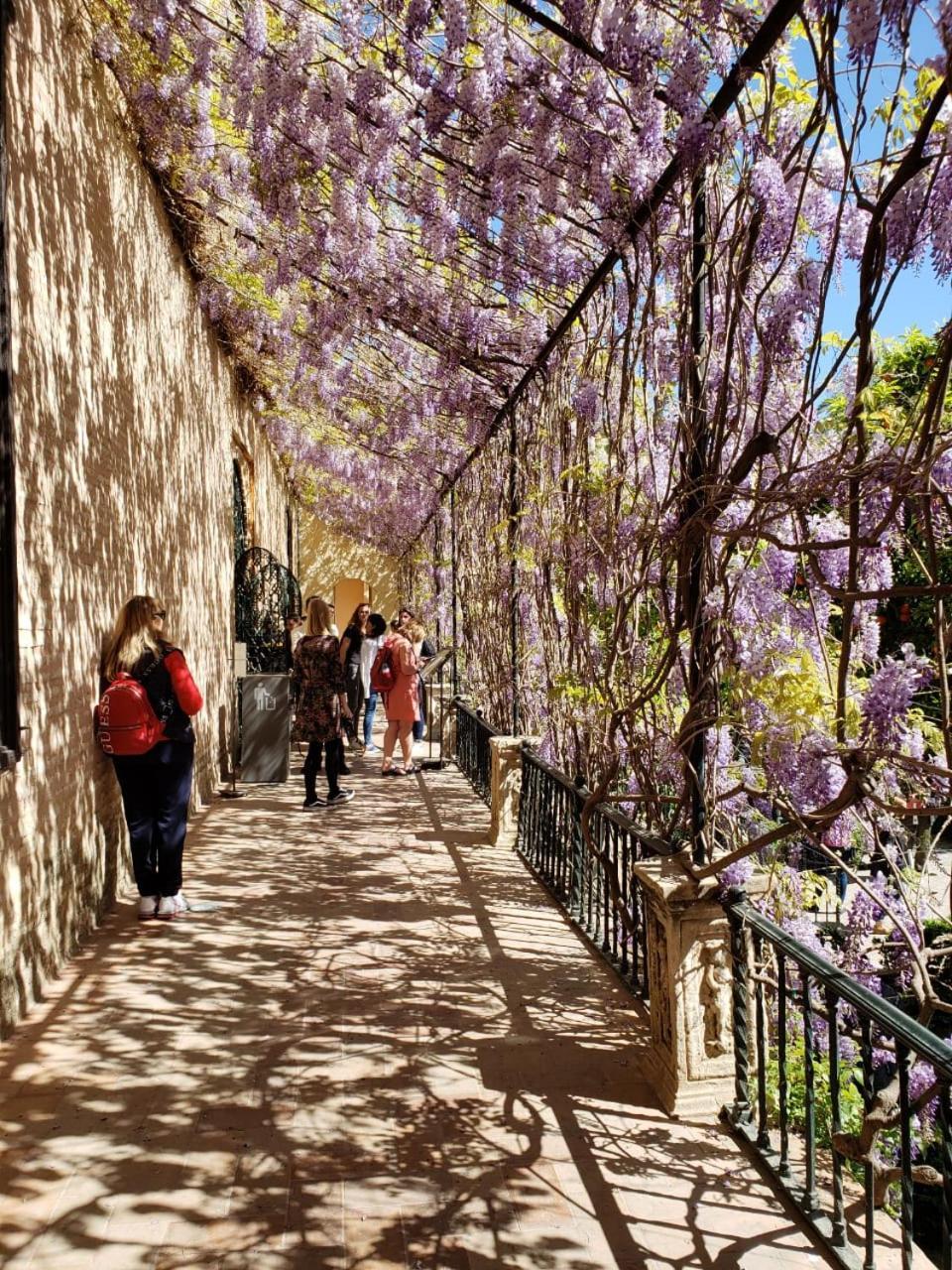 Apartamento Jardin De Santa Paula Sevilla Eksteriør bilde